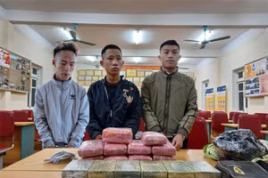 Bắt giữ vụ vận chuyển ma túy "khủng" trong ngày đầu năm 2021