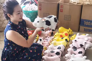 Ngân "gốm" thường lợi dụng kêu gọi cứu trợ thiên tai, vùng kinh tế khó khăn để thực hiện hành vi lừa đảo chiếm đoạt tài sản của nhiều người.