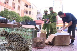 Cá thể mèo rừng được cơ quan chức năng phát hiện. Ảnh: Công an TP. Thái Nguyên.