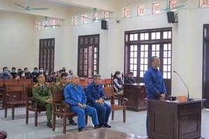 Biến đất nông nghiệp thành đất ở trái quy định, 3 cựu cán bộ quận lĩnh án