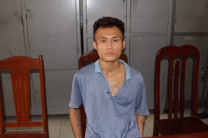 Đối tượng Trần Văn Long. Ảnh: Công an Hà Nam.