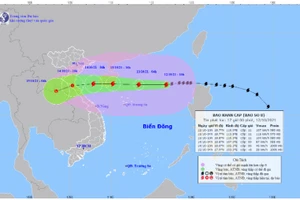 Hình ảnh vệ tinh cơn bão số 8.