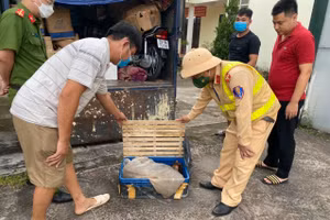 Lực lượng chức năng kiểm tra tang vật của vụ việc. Ảnh: Công an Quảng Ninh.