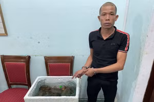 Đối tượng Trần Quang Tuấn. Ảnh: Công an Quảng Ninh