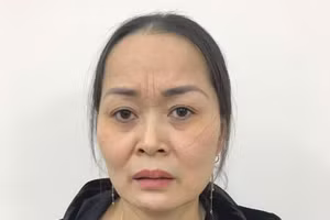 Nguyễn Thị Liên bị khởi tố về tội Chứa gái mại dâm