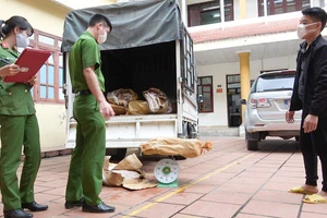 Nửa tấn chân gà bốc mùi hôi thối bị cơ quan chức năng phát hiện. Ảnh: Lê Nam.