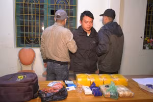 Bắt giữ đối tượng vận chuyển 66.000 viên ma túy tổng hợp 