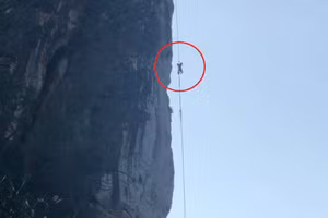 Nạn nhân bị ong đốt khi đang lấy mật.