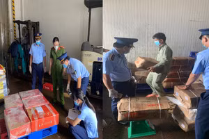 Đoàn kiểm tra kiểm đếm số lượng tang vật vi phạm.