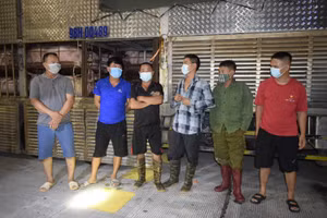 Những trường hợp vi phạm bị cơ quan chức năng phát hiện.