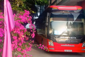 Xe khách mang BKS: 15B-036.84 chạy "chui" làm lây lan dịch bệnh tại Hải Phòng.