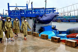 Bão số 9 diễn biến bất thường, các tỉnh từ Đà Nẵng đến Bình Định gấp rút ứng phó