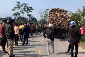 Phú Thọ: Va chạm với xe tải, 2 người trên xe máy tử vong 