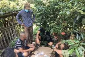 Bắc Giang: Xử phạt hàng chục trường hợp vi phạm quy định phòng chống dịch Covid-19