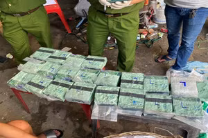 Phá đường dây vận chuyển gần 100 kg ma túy bằng xe “luồng xanh”