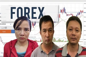 Cảnh báo thủ đoạn của những sàn Forex trái phép