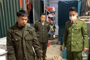 Số lượng cá thể động vật hoang dã quý hiếm bị cơ quan chức năng thu giữ. Ảnh: Công an Hà Giang.