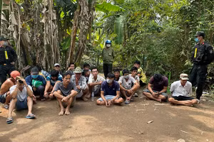 An Giang: Bắt 25 đối tượng tổ chức đá gà ăn tiền