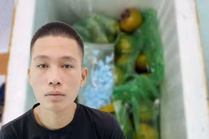 Bí mật bên trong những thùng hàng hoa quả trên những chuyến xe khách đường dài