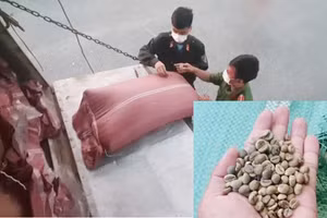 Xe tải chơi cà phê không rõ nguồn gốc bị cơ quan chức năng phát hiện.