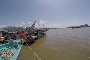 Thị trấn Sông Đốc, huyện Trần Văn Thời, nơi có đông phương tiện khai thác thủy sản của tỉnh Cà Mau