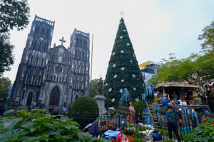 Hàng loạt cây thông Noel khổng lồ "mọc" trên phố Hà Nội