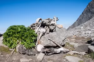 Những địa danh kinh dị khiến du khách vừa sợ vừa tò mò