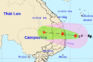 Thủ tướng Chính phủ yêu cầu tập trung ứng phó bão số 5