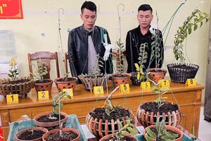 Thắng và Hùng cùng tang vật. Ảnh: Zing.vn