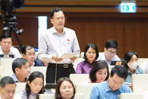 Đại biểu Huỳnh Thanh Phương (Đoàn ĐBQH tỉnh Tây Ninh).