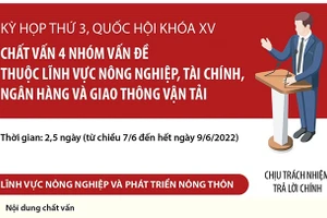 Quốc hội chất vấn 4 nhóm vấn đề: Nông nghiệp, tài chính, ngân hàng và giao thông vận tải