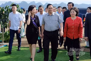 Thủ tướng Phạm Minh Chính bấm nút khởi công dự án "Thiên đường sữa Mộc Châu"