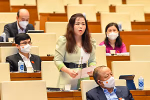 Các vị đại biểu Quốc hội hoạt động chuyên trách ở Trung ương và thuộc Đoàn đại biểu Quốc hội thành phố Hà Nội tham dự tại hội trường Diên Hồng của Nhà Quốc hội. Ảnh minh họa: Quốc hội