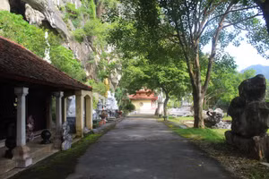 Khám phá ngôi chùa có bầy khỉ hoang hàng trăm con ở Thanh Hóa