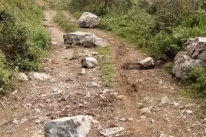 Đang trên đường đi chặt tre, một người đàn ông tại Điện Biên bị đá rơi trúng tử vong. Ảnh minh họa.