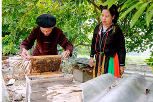 Đồng bào dân tộc Sán Dìu tại Vĩnh Phúc tích cực phát triển kinh tế. Ảnh: Khánh Linh