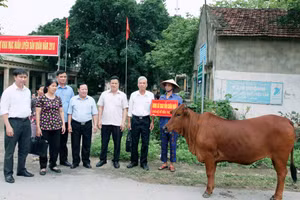 Trao tiền hỗ trợ nuôi bò cho hộ nghèo tại huyện Yên Lạc