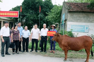 Trao tiền hỗ trợ nuôi bò cho hộ nghèo tại huyện Yên Lạc