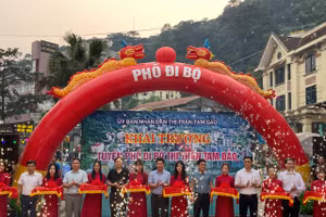 Tuyến phố đi bộ chính thức được khai trương.