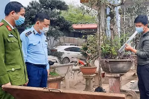 Lực lượng quản lý thị trường Vĩnh Phúc kiểm tra tại Cửa hàng xăng dầu số 1. 