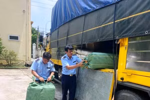 Đội QLTT số 5 kiểm tra xe ô tô tải mang biển kiểm soát 24C-114.75 tại thị trấn Thổ Tang, huyện Vĩnh Tường. Ảnh: Hà Trần