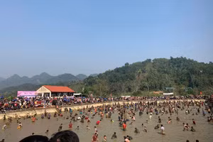 Hàng trăm người thi nhau lội bùn bắt cá trong lễ hội đầu xuân