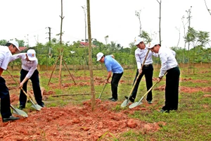 Ông Lê Duy Thành (áo xanh) cùng các đại biểu trồng cây tại trường THPT Ngô Gia Tự