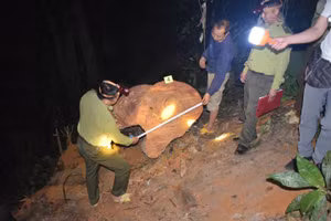 Lực lượng chức năng kiểm tra hiện trường vụ việc. Ảnh: Công an huyện Vị Xuyên 