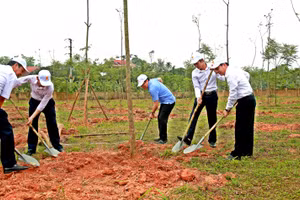 Ông Lê Duy Thành (áo xanh) cùng các đại biểu trồng cây tại trường THPT Ngô Gia Tự