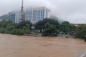 Nước sông Lô đoạn qua TP Hà Giang đang lên rất cao.