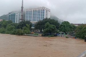 Nước sông Lô đoạn qua TP Hà Giang đang lên rất cao.