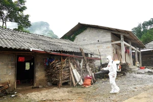 Ngành y tế địa phương tiến hành phun khử khuẩn gia đình có người mắc bệnh. Ảnh: Hà Linh (Mèo Vạc)