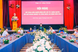 Bí thư Tỉnh ủy Vĩnh Phúc - Hoàng Thị Thúy Lan phát biểu tại hội nghị.