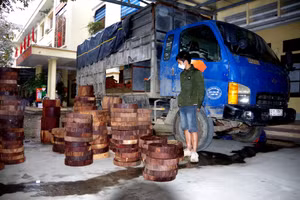 Lái xe Lương Xuân Hải và phương tiện cùng số gỗ bị bắt giữ. Ảnh: Công an tỉnh Hà Giang